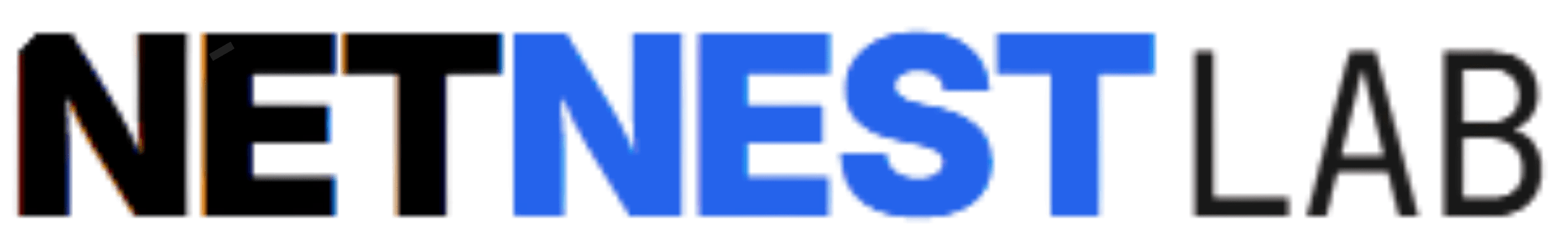 netnest lab logo